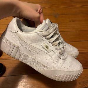 White pumas